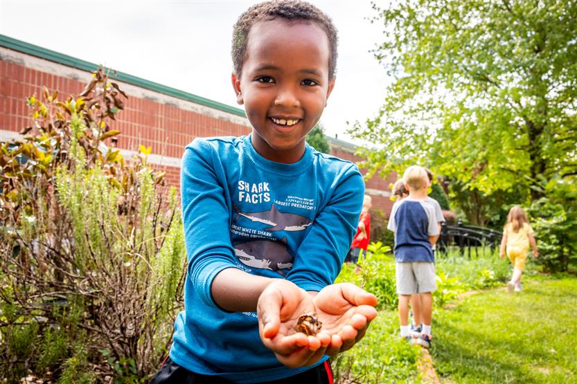 A boy holds a butterfly